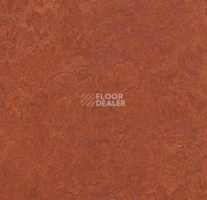 Линолеум Forbo Marmoleum Marbled Authentic 3203 henna фото 1 | FLOORDEALER